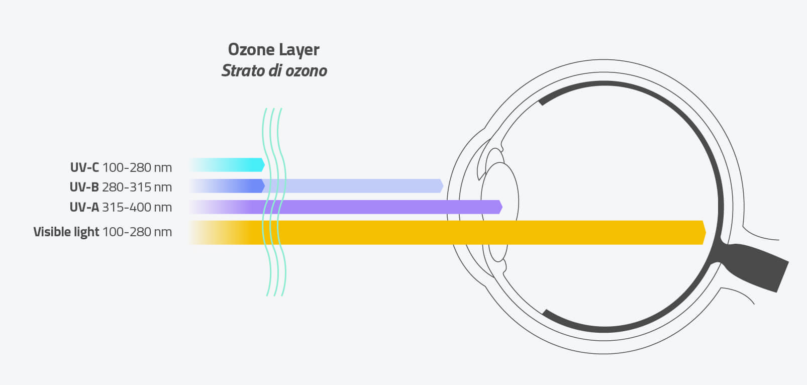 illustrazione caratteristiche lenti tinte