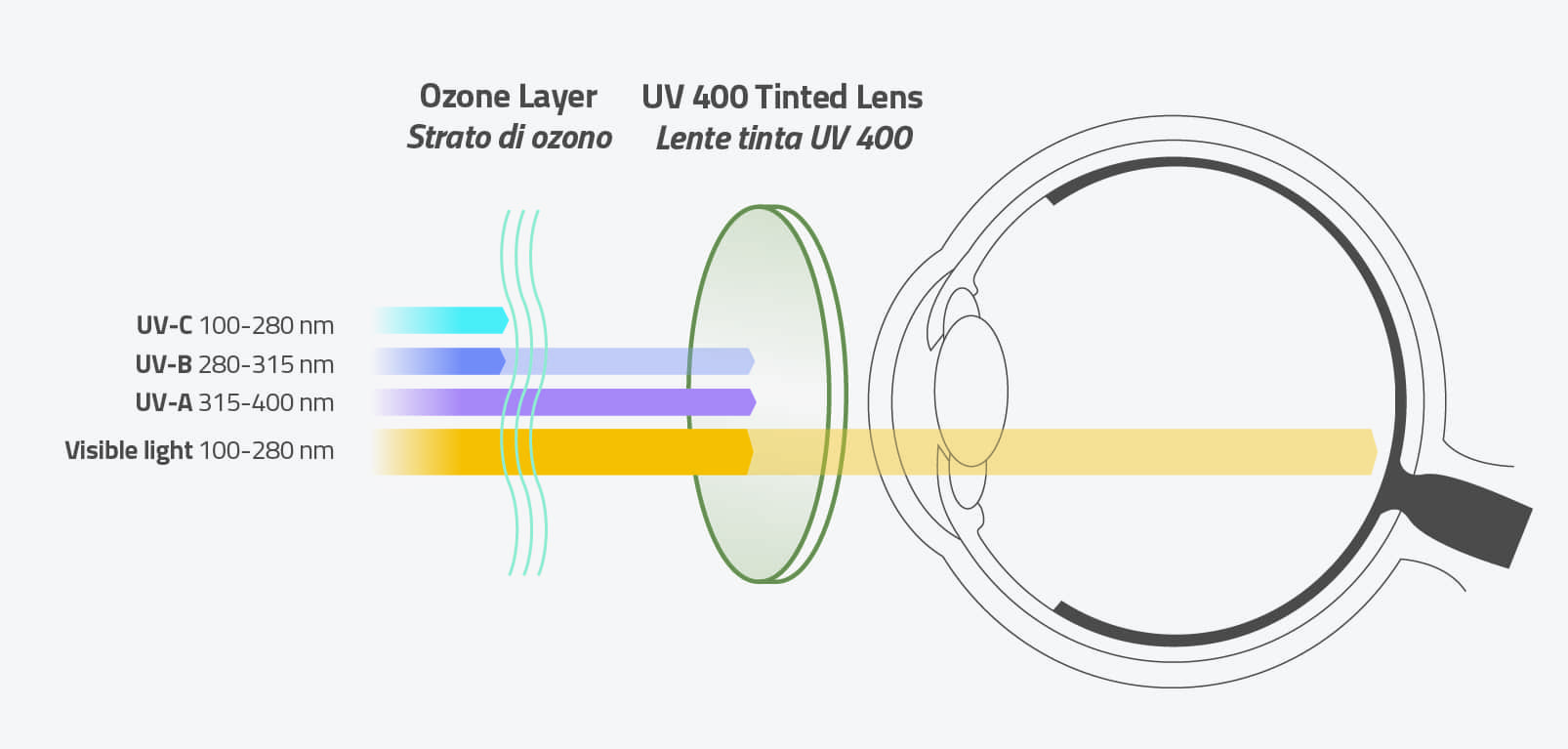 illustrazione caratteristiche lenti tinte